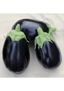 بادمجان دلمه ای جعبه ای